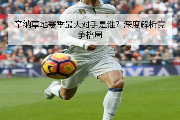 辛纳草地赛季最大对手是谁？深度解析竞争格局